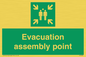 SY7236: Evacuation assembly point