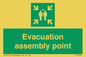 SY7236: Evacuation assembly point