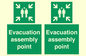 SY7236: Evacuation assembly point