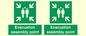 SY7236: Evacuation assembly point