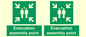 SY7236: Evacuation assembly point