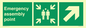 SY7922: Emergency assembly point directional Up right arrow