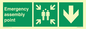 SY7925: Emergency assembly point directional Down arrow