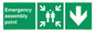 SY7925: Emergency assembly point directional Down arrow