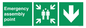 SY7925: Emergency assembly point directional Down arrow