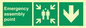 SY7925: Emergency assembly point directional Down arrow