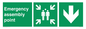 SY7925: Emergency assembly point directional Down arrow