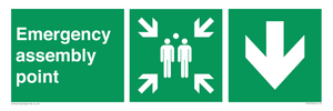 SY7925: Emergency assembly point directional Down arrow