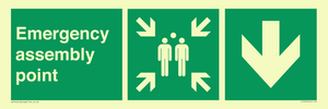 SY7925: Emergency assembly point directional Down arrow