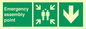 SY7925: Emergency assembly point directional Down arrow