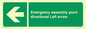 SY7927: Emergency assembly point directional Left arrow
