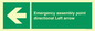 SY7927: Emergency assembly point directional Left arrow