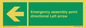SY7927: Emergency assembly point directional Left arrow