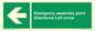 SY7927: Emergency assembly point directional Left arrow