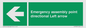 SY7927: Emergency assembly point directional Left arrow