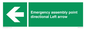 SY7927: Emergency assembly point directional Left arrow