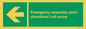 SY7927: Emergency assembly point directional Left arrow