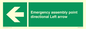 SY7927: Emergency assembly point directional Left arrow