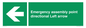 SY7927: Emergency assembly point directional Left arrow