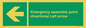 SY7927: Emergency assembly point directional Left arrow