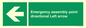 SY7927: Emergency assembly point directional Left arrow