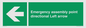 SY7927: Emergency assembly point directional Left arrow