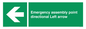 SY7927: Emergency assembly point directional Left arrow