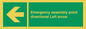 SY7927: Emergency assembly point directional Left arrow