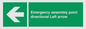 SY7927: Emergency assembly point directional Left arrow