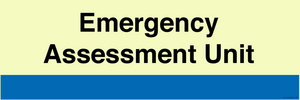 TB14192: NHS Style Emergency Assessment Unit