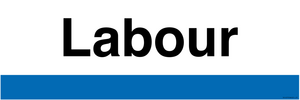 TB14373: NHs style Labour