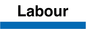TB14373: NHs style Labour