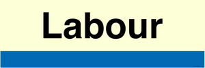 TB14373: NHs style Labour