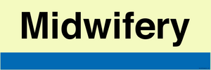 TB14379: NHS style Midwifery