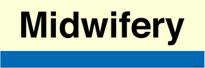 TB14379: NHS style Midwifery