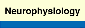TB14389: NHS style Neurophysiology