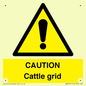 WA6301: CAUTION Cattle grid