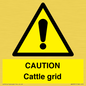 WA6301: CAUTION Cattle grid