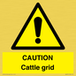 WA6301: CAUTION Cattle grid