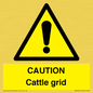 WA6301: CAUTION Cattle grid
