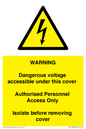 WE10982: Warning Dangerous Voltage under this cover