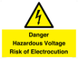 WE12290: Danger Hazardous Voltage Risk of Electrocution