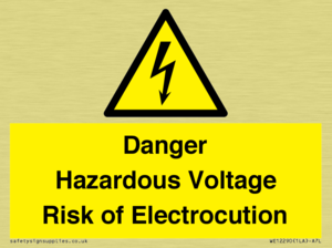WE12290: Danger Hazardous Voltage Risk of Electrocution