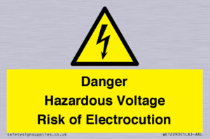 WE12290: Danger Hazardous Voltage Risk of Electrocution