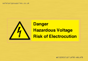 WE12290: Danger Hazardous Voltage Risk of Electrocution