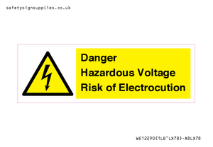 WE12290: Danger Hazardous Voltage Risk of Electrocution