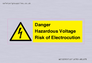 WE12290: Danger Hazardous Voltage Risk of Electrocution