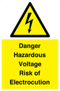 WE12290: Danger Hazardous Voltage Risk of Electrocution