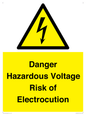 WE12290: Danger Hazardous Voltage Risk of Electrocution
