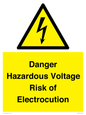 WE12290: Danger Hazardous Voltage Risk of Electrocution